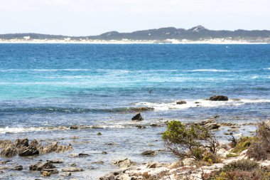 Rüzgarlı günde güzel sahil şeridi, Güney Avustralya, Kanguru Adası.