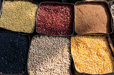 Çiftçi pazarında organik kuru fasulye, mısır, fasulye, nohut. Sağlıklı vejetaryen yemekleri.