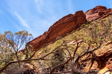 Avustralya taşrası, Kings Canyon 'daki vahşi doğa alanı, Kuzey Bölgesi, Watarrka Ulusal Parkı, Avustralya