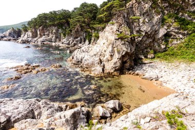 Peninsula Gamow, Rusya ve Primorsky Krai yakınlarında çam ağaçları olan güzel deniz manzarası