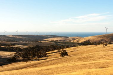 Büyük Okyanus Yolu yakınlarındaki yel değirmenleri. Avustralya.