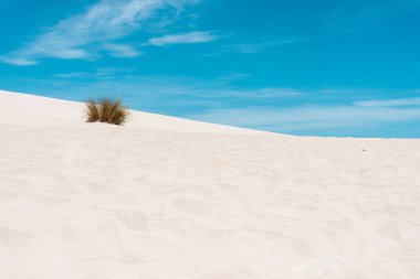 Avustralya, Kanguru Adası 'ndaki Küçük Sahra Çölü' nde beyaz kum.