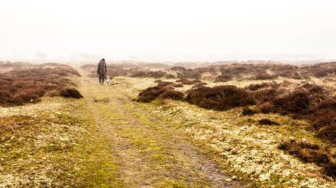 Texel Adası, Hollanda - 25 Şubat 2010 - İnsanoğlu ve köpeği sabah sisinde Teksaslı adada kumulların arasında yürüyorlar.