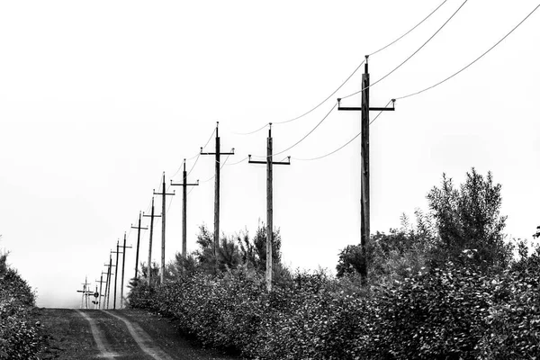 Eski Ahşap Elektrik Hatları Siyah Beyaz Görüntü Kamçatka Yarımadası Rusya — Stok fotoğraf