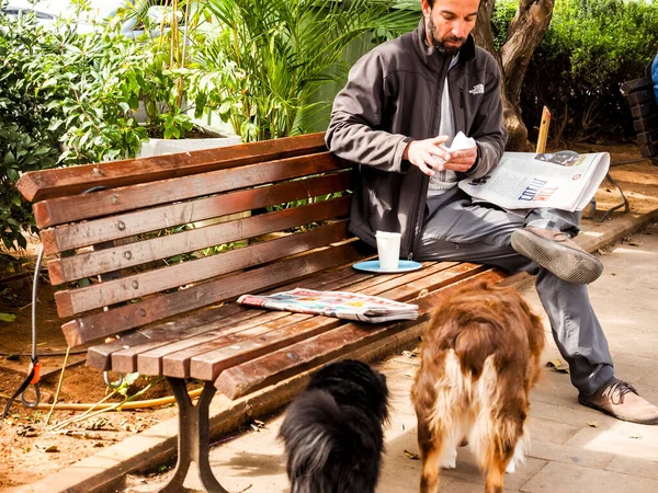 Ізраїль Тель Авів Лютого 2017 Людина Годує Собак Своїм Сніданком — стокове фото
