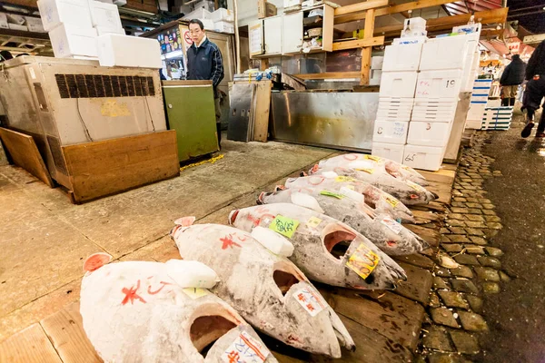 Tóquio Japão Janeiro 2010 Início Manhã Mercado Peixes Tsukiji Atum — Fotografia de Stock