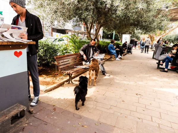 Israel Tel Aviv Februar 2017 Mann Füttert Hunde Beim Frühstück — Stockfoto