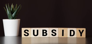 Tahta küplerde kullanılan kelime, yansıtıcı yüzeyde duran küpler, arka planda bir iş diyagramı. İş ve finans kavramı