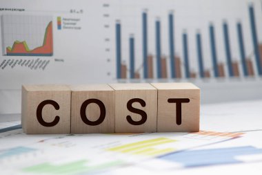 COSTS sözcüğü beyaz üzerine izole edilmiş yapı taşları ile yapılır.