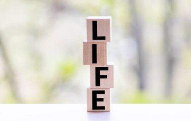 Tahta bloklar ve bulanık arkaplan üzerine hayat kelimesi.