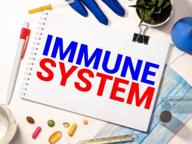 Bağışıklık Sistemi kelimesi defter, steteskop ve yeşil plan üzerine