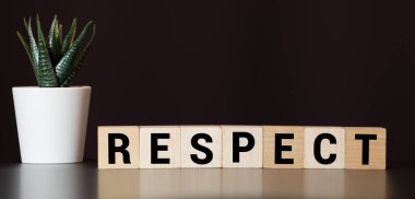 Beyaz arkaplanda tahta küp üzerinde konsept sözcük oluşturuluyor - Saygı.