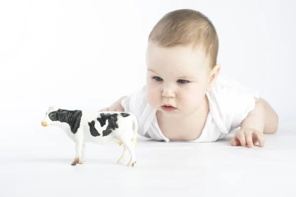 Μωρό Και Γαλακτοκομικά Προϊόντα Έννοια — Φωτογραφία Αρχείου