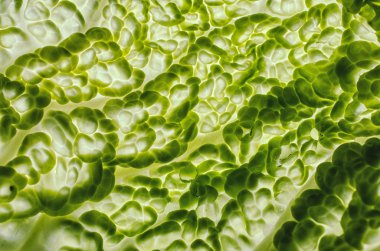 Soyut yeşil arkaplan