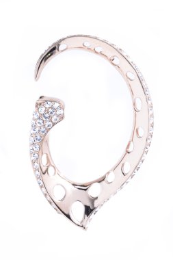 beyaz izole taşlar ile altın broş