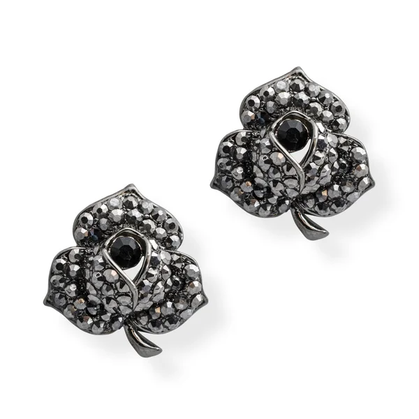 Boucles d'oreilles en argent avec onyx isolé sur blanc — Photo