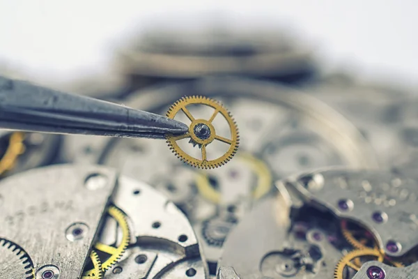 Pincett och detalj av mekaniska klockor — Stockfoto