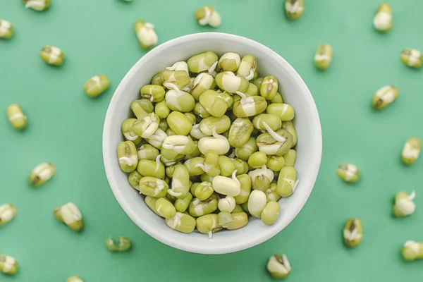 mung bean sprouts on green background