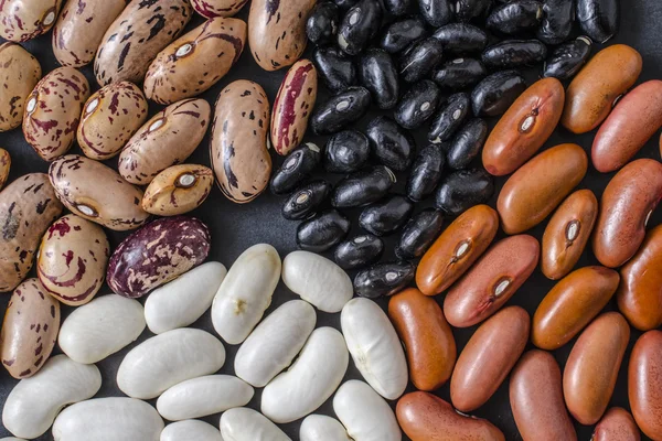 Different types of beans mixed background — Stock Photo, Image