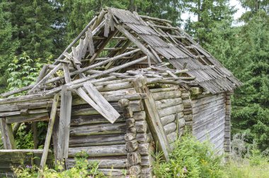 Ormanda terk edilmiş bir ev.