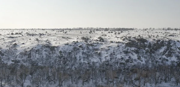 白雪皑皑的冬季风景 — 图库照片