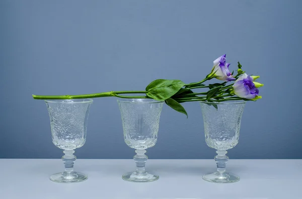 Three glasses and a flower — Stock Photo, Image