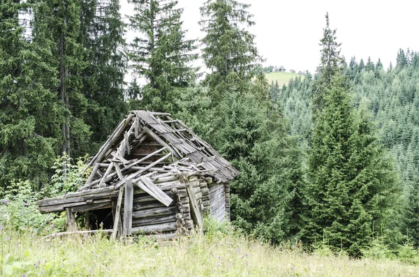 abandoned house in the woods