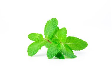 Taze yeşil nane yaprakları ve mis kokulu yiyecekler olabilir. Karışık içecekler ve beyaz arka plan üzerine konmuş bir bitkidir.