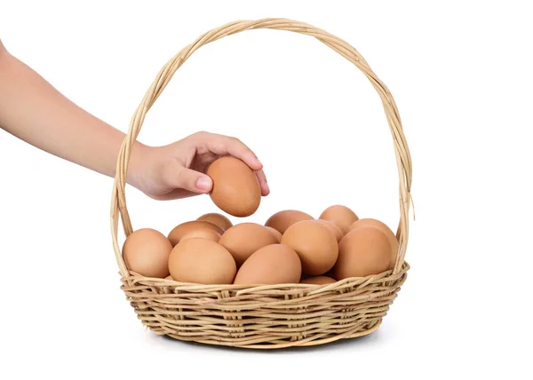 Sepetteki Yumurtaları Topluyor Organik Çiftliklerden Taze Yumurtalar Beyaz Arka Planda — Stok fotoğraf