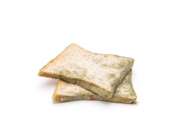 Küflenmiş ekmek beyaza izole edilmiş.