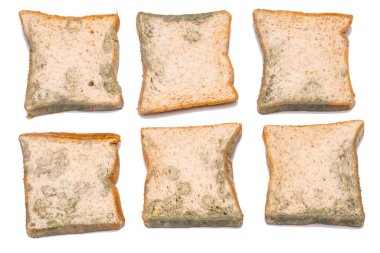 Küflenmiş ekmek beyaza izole edilmiş.