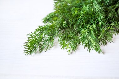 Dereotu ve rezene beyaz bir arka plan üzerinde.