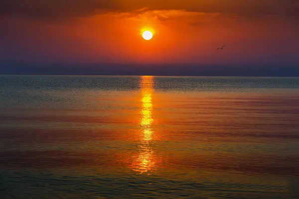 Paisaje con amanecer y atardecer en un estanque — Foto de Stock