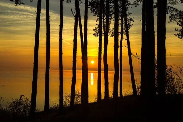 Paisaje con amanecer y atardecer en un estanque — Foto de Stock