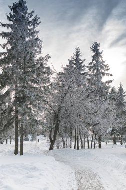 donmuş karlı nehir manzarası
