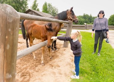 At ve diğer hayvanların yanında küçük bir kız.