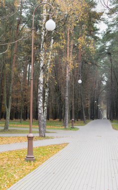 Yazın parkta yürüyüş yolu.