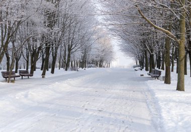 donmuş karlı nehir manzarası
