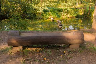 Yazın parkta yürüyüş yolu.