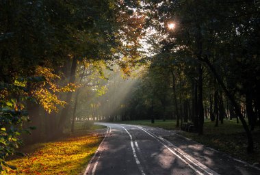 Yazın parkta yürüyüş yolu.