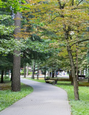 Yazın parkta yürüyüş yolu.
