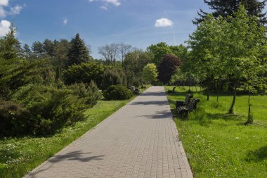Yazın parkta yürüyüş yolu.