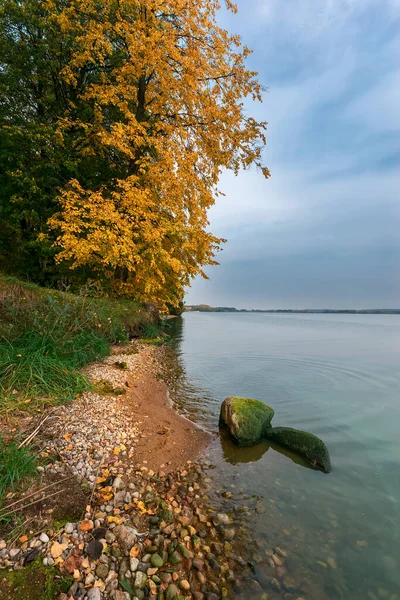 Камни и деревья у озера — стоковое фото