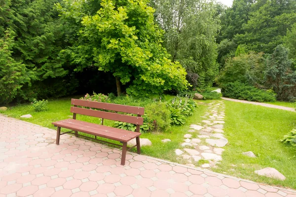 Paseo en el parque en el verano — Foto de Stock