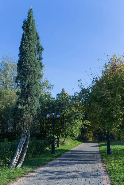 Paseo en el parque en el verano — Foto de Stock