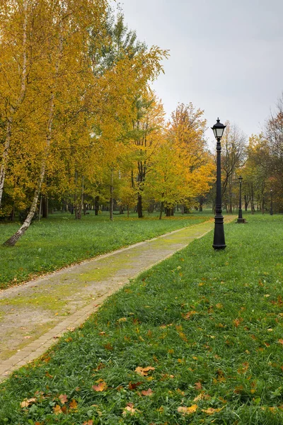 Spacer w parku w lecie — Zdjęcie stockowe