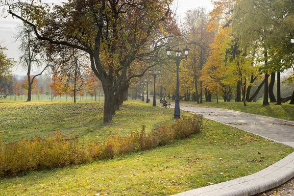 Spacer w parku w lecie — Zdjęcie stockowe