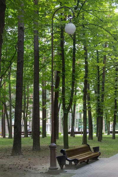 Paseo en el parque en el verano — Foto de Stock