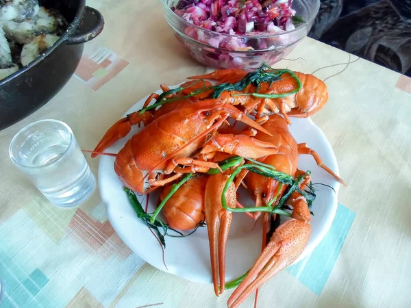 Cangrejo rojo en un plato con eneldo y hierbas. Vaso de vodka cerca —  Fotos de Stock