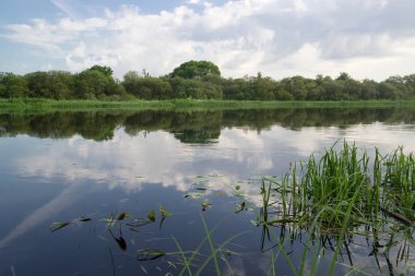  Nehir kıyısından, gökyüzünden ve ağaçlardan oluşan manzara